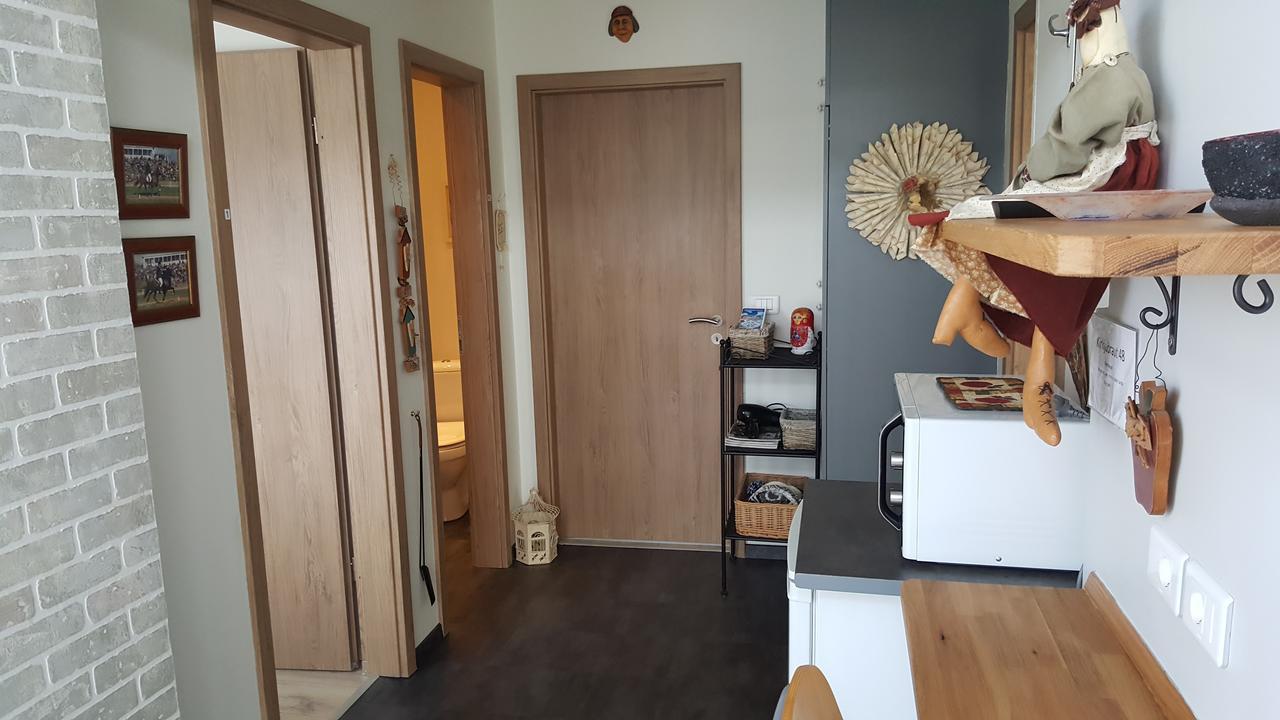 Hvita Husith, Kirkjubraut 48 Apartman Höfn Kültér fotó